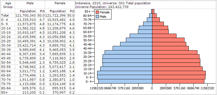 Indonesia population