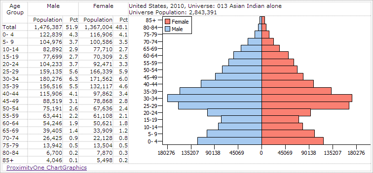 Population Pyramids Census 2020 Age Sex Gender Race Chart Graphics