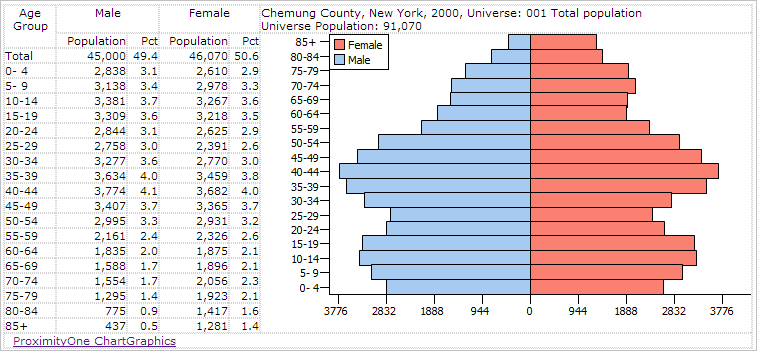 Population Pyramids Census 2010 Age Sex Gender Race Chart Graphics 2940