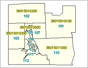 tract census chemung