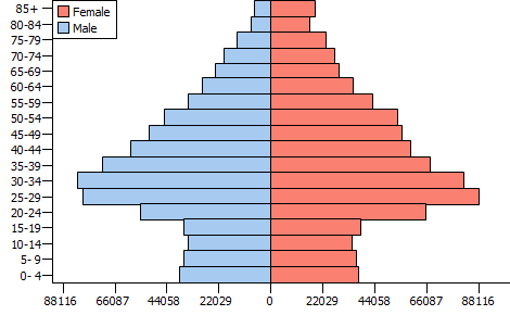 Population Pyramid | New York County, New York, 2000, Universe: 001 ...