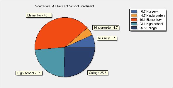 School Enrollment Chart