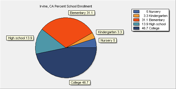 School Enrollment Chart