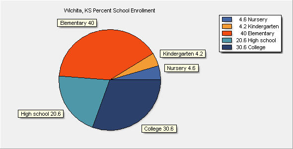School Enrollment Chart