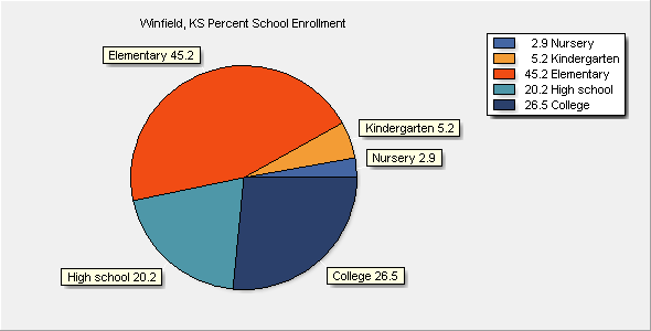 School Enrollment Chart