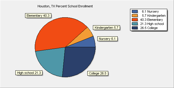 School Enrollment Chart