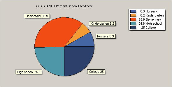 School Enrollment Chart