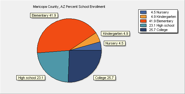 School Enrollment Chart