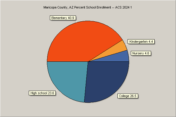 School Enrollment Chart
