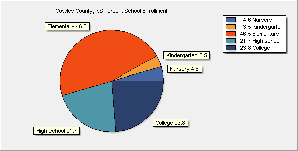 School Enrollment Chart