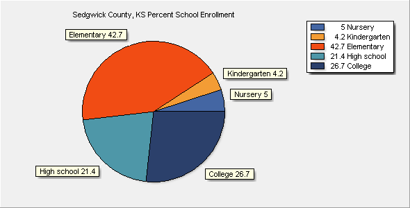 School Enrollment Chart