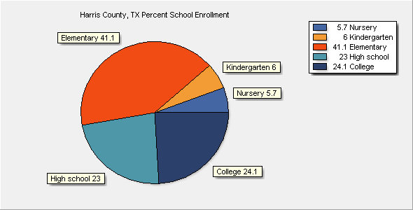 School Enrollment Chart