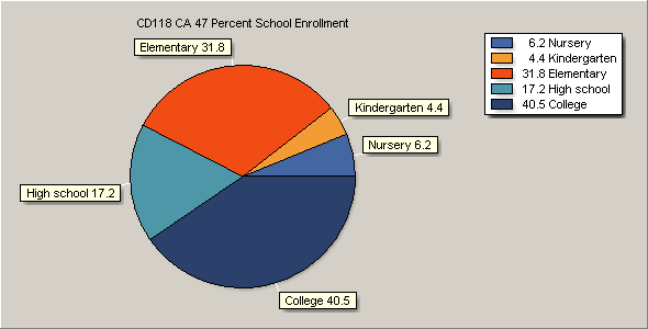 School Enrollment Chart
